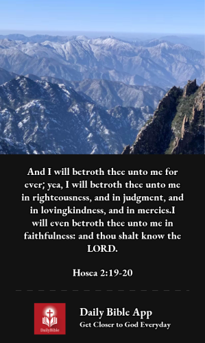 2022-12-281672256293078