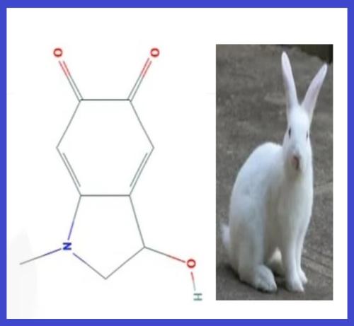 photo_2022-12-13_23-18-27