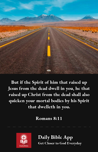 2022-12-011669940056371