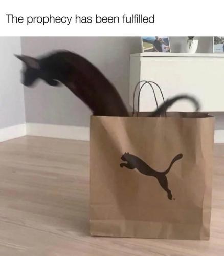 315634479_571221121672460_2373172813714571223_n