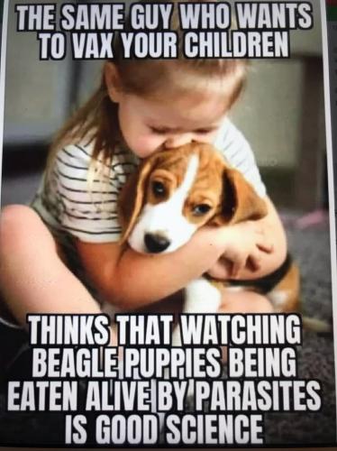 23e01c89-3084-4340-8947-f1bc481a2023