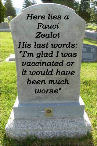 FB_IMG_1670432275620
