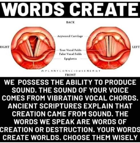 Screenshot_2022-12-22-12-02-04-59_1c337646f29875672b5a61192b9010f9