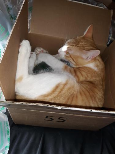 5ca1f852-9b4e-49a6-aa32-997df03f5ecf