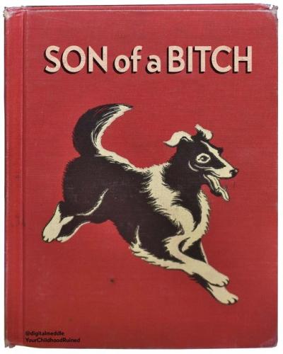 320588981_703646834641377_6849032981311900960_n