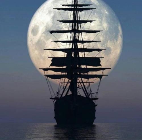 319842733_1609756056130824_1211148680436767430_n