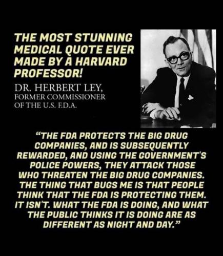 Screenshot_2022-12-19-19-44-47-97_1c337646f29875672b5a61192b9010f9