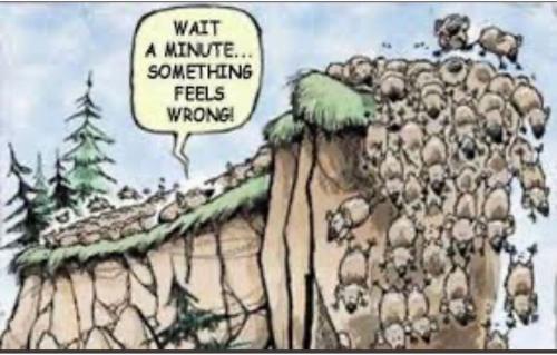 Screenshot_2022-12-19-21-31-44-52_1c337646f29875672b5a61192b9010f9