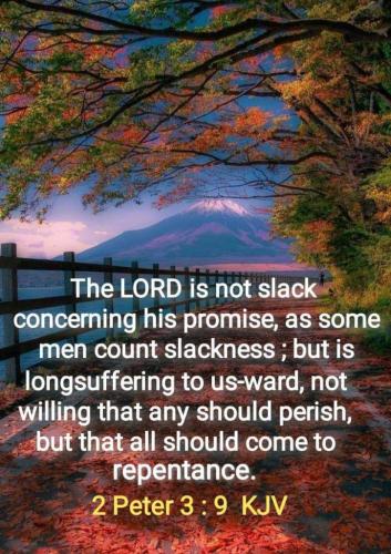 5a46e378-dce3-4159-a1b2-4c4f24a23b61