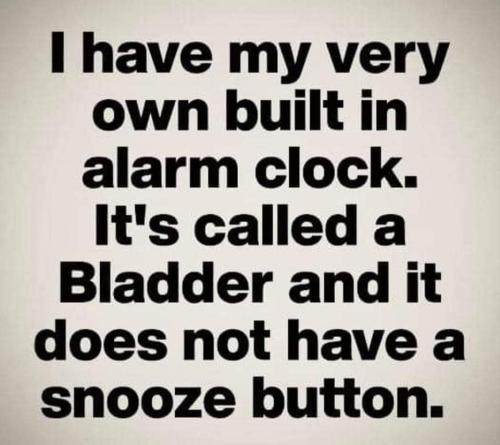 FB_IMG_1672288283372