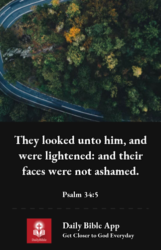 2022-12-281672275305294