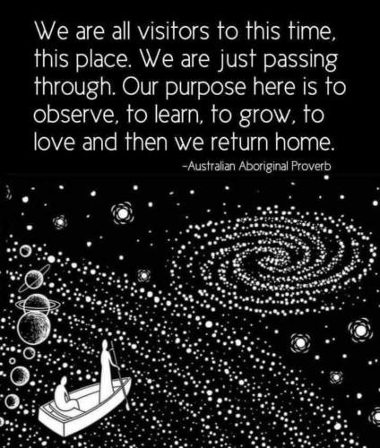 IMG_20221219_132822_880