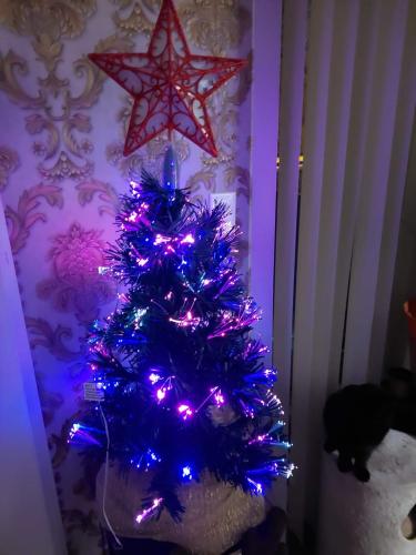 FB_IMG_1670633280260