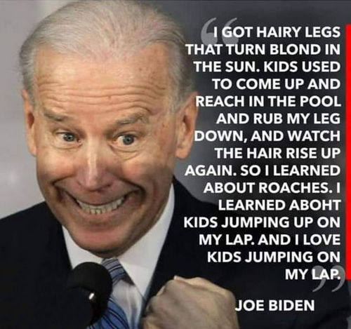 pedo joe64