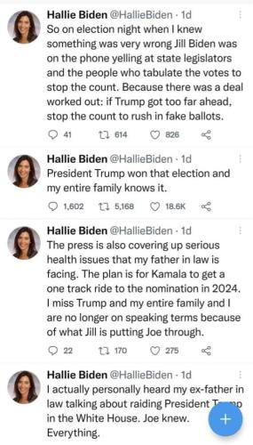 hallie biden dem vote fraud 2020