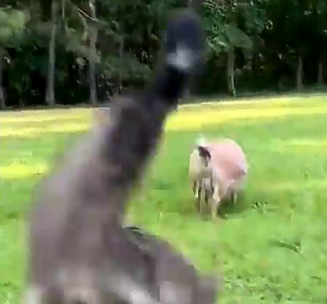 Screenshot_20221210-171538