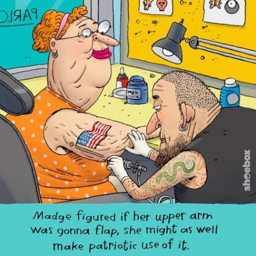 img (5)
