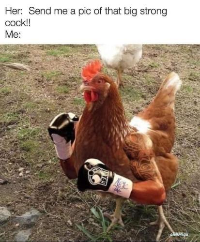 FB_IMG_1670707647732