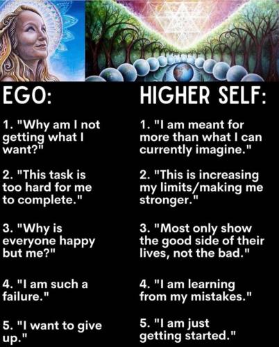 Screenshot_2022-12-10-05-38-53-70_1c337646f29875672b5a61192b9010f9