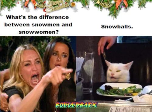 FB_IMG_1670369093487