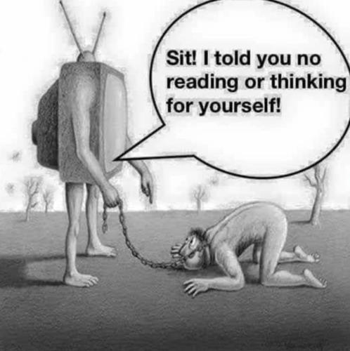 51f497a0-3483-4d69-a943-cd9cb61d9c94