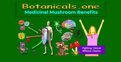 Botanicals.one - Medicinal mushrooms