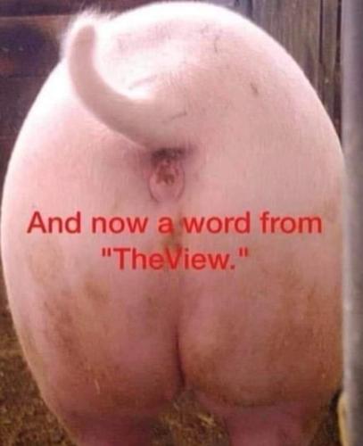 FB_IMG_1672045223131