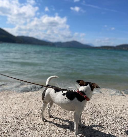 margitk13-20221015-0021