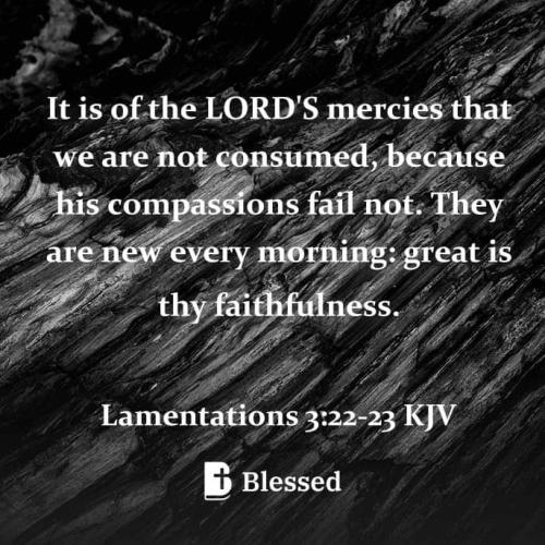 FB_IMG_1672369293023