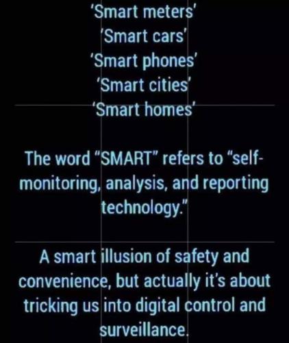 FB_IMG_1671375666699