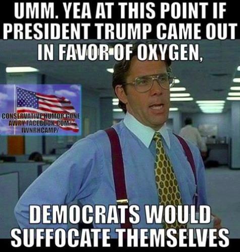 1eb5f0a8-cc13-41b5-9534-b70d839ad5a8