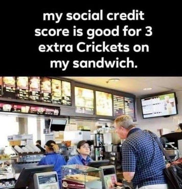crickets00