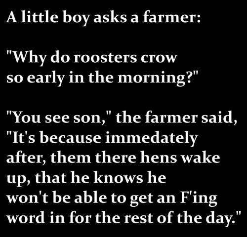 e69d3f07803d5558a154a0746500519e_1024