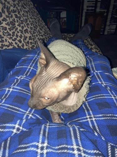 21:34:13 GMT-0500 (Eastern Standard Time).image