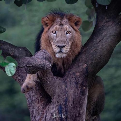 318966622_10217784506644556_44280034860533183_n