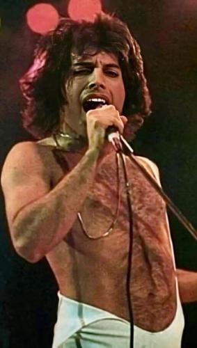 317954486_505035714950058_2149486133928942763_n