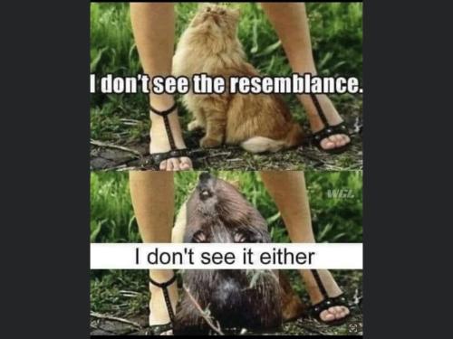 969A2417-C0EE-4909-AEDF-9508FC9A4505