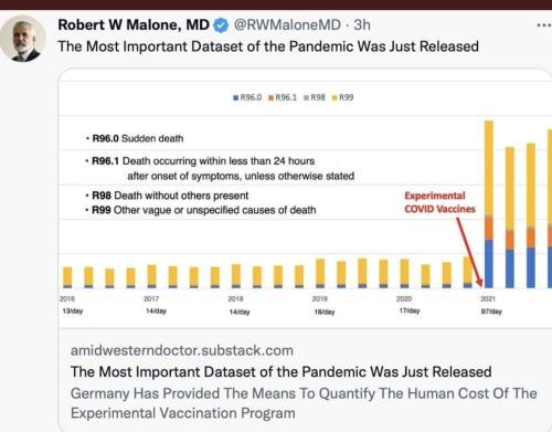 FB_IMG_1671751871717