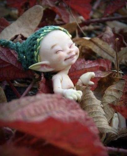 ,                                                                                                                                                                                                                          0 2