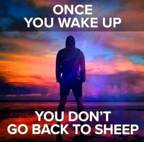 315286274_194245456439992_5611397936033951355_n