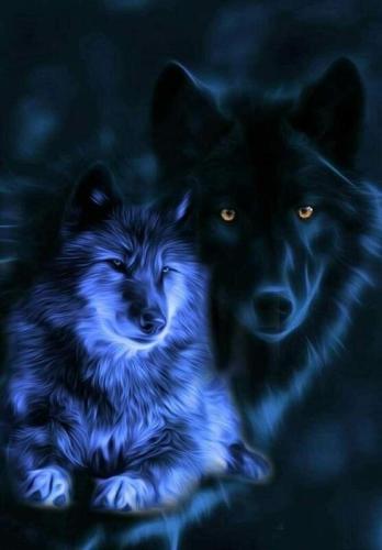 2 Wolves