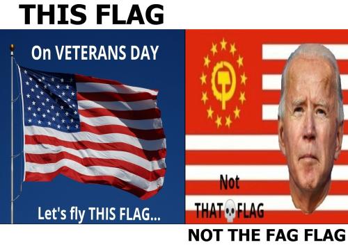 On veterans day lets fly this flag