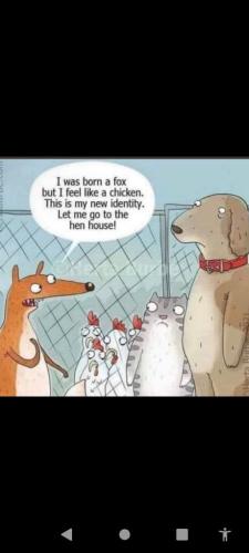 8155785c-fc4f-4be5-a1c1-1e68c46e3af7