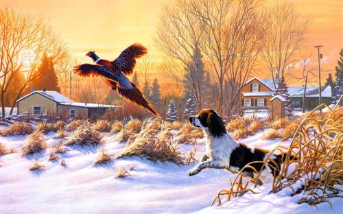 Dog chasing quail in snow