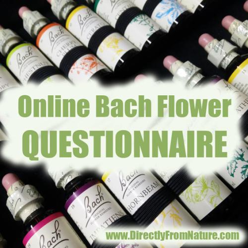 Online FREE Bach Flower Questionnaire 5x5x100