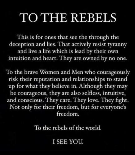 Screenshot_2022-12-20-16-50-15-17_1c337646f29875672b5a61192b9010f9