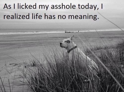 312330524_5577608295687417_3188751785825542209_n