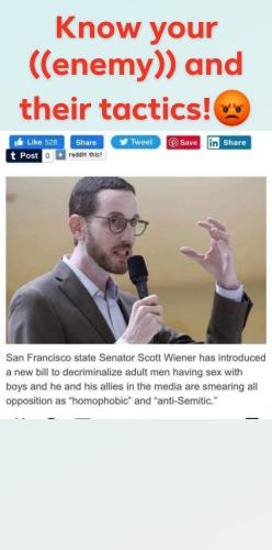 orca-image--1472709616