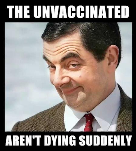 Mr Bean Vaxxed arent dying