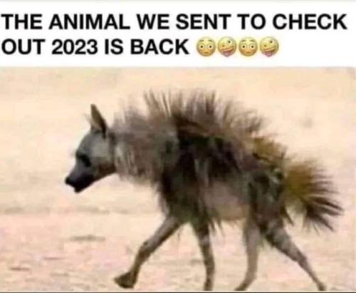 322534229_927492051962972_9114610003113649814_n